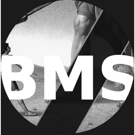 BMS sigil with David and Goliath in the background